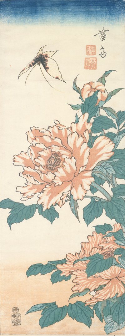 Farfalla e Peonia Arborea da Keisai Eisen